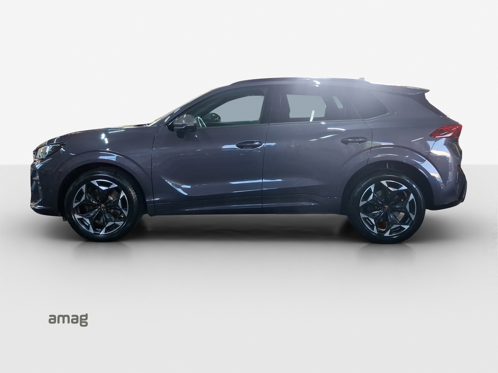 CUPRA Terramar 2.0 TSI DSG 4Drive VZ-image-1