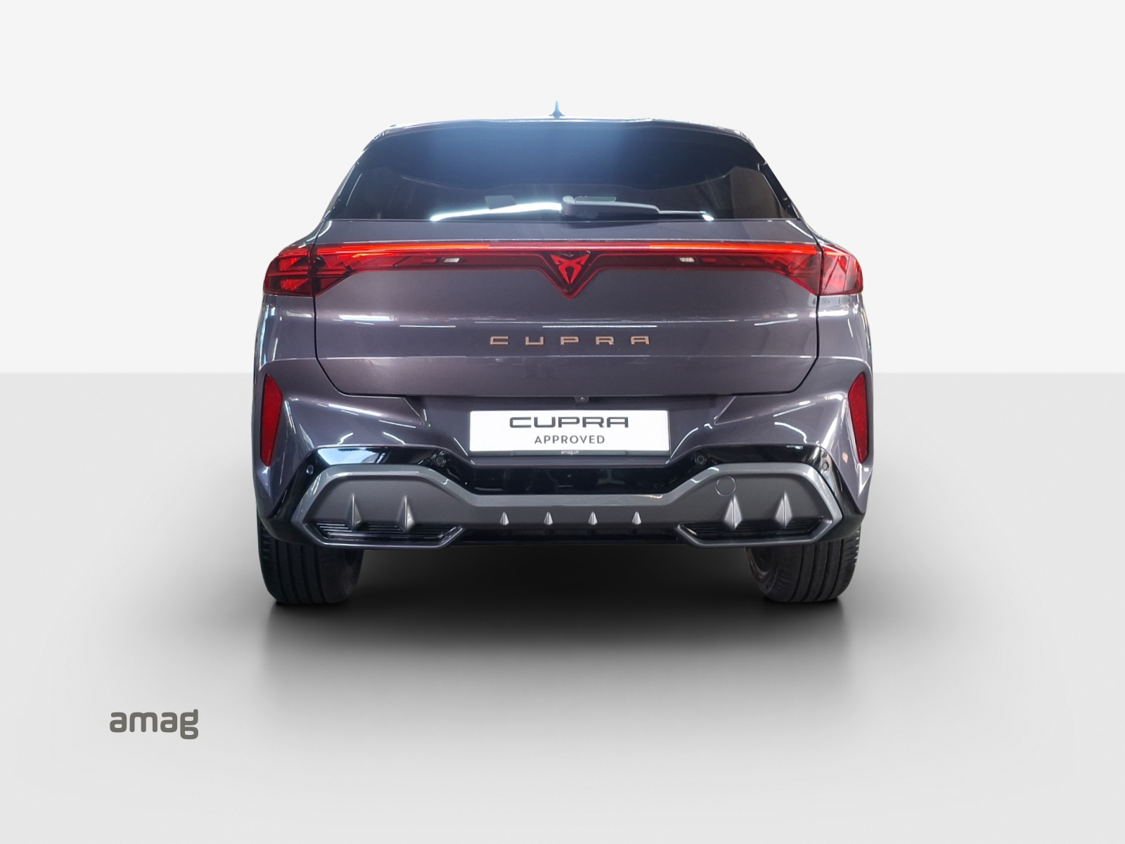 CUPRA Terramar 2.0 TSI DSG 4Drive VZ-image-3