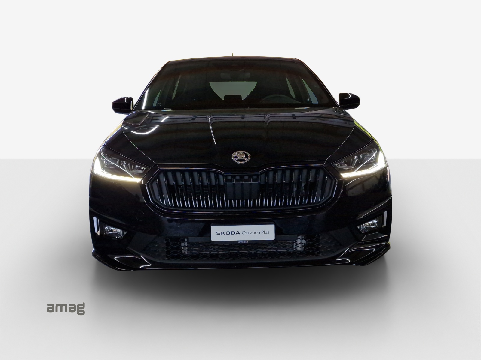 SKODA Fabia 1.5 TSI Monte Carlo DSG-image-6
