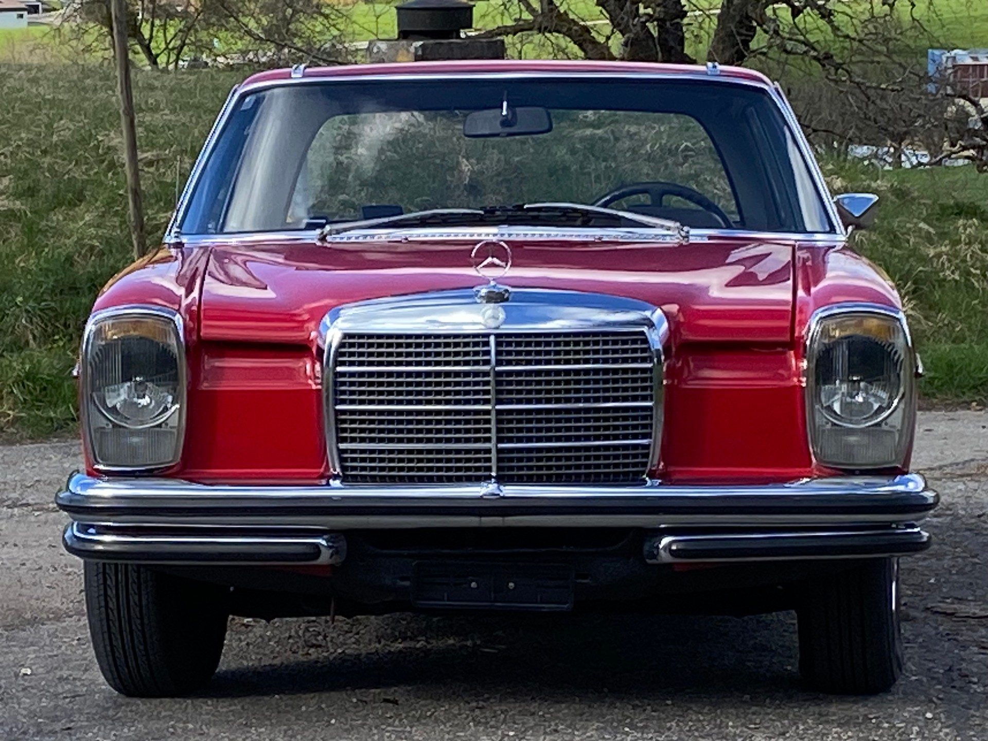 MERCEDES-BENZ CE-image-6