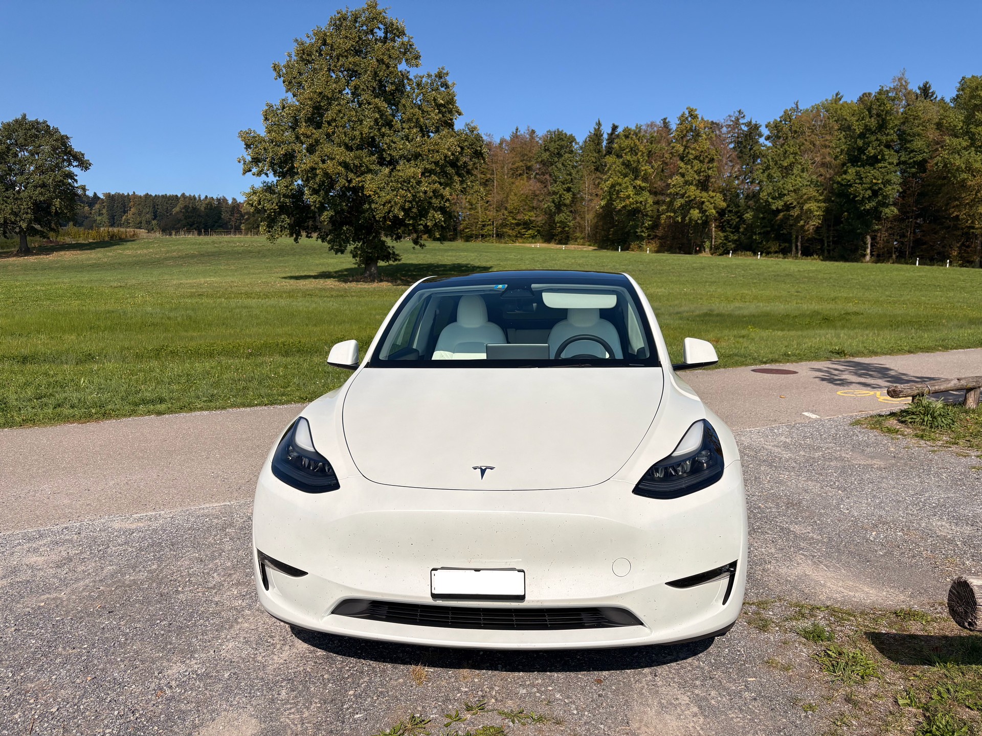 TESLA Long Range D-image-1