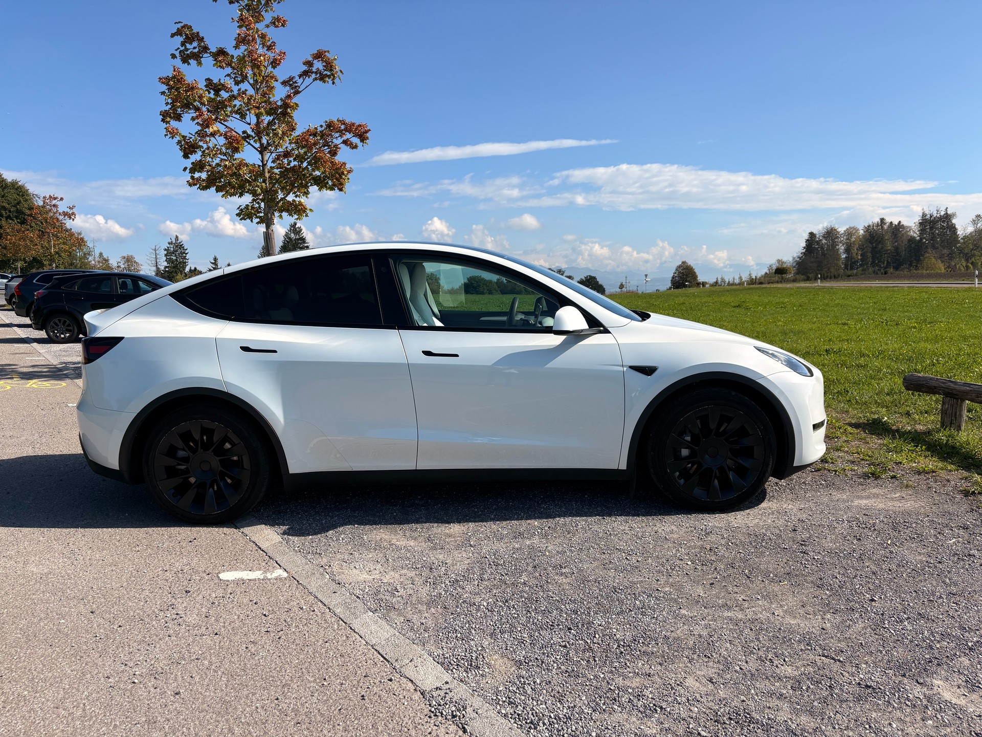 TESLA Long Range D-image-2