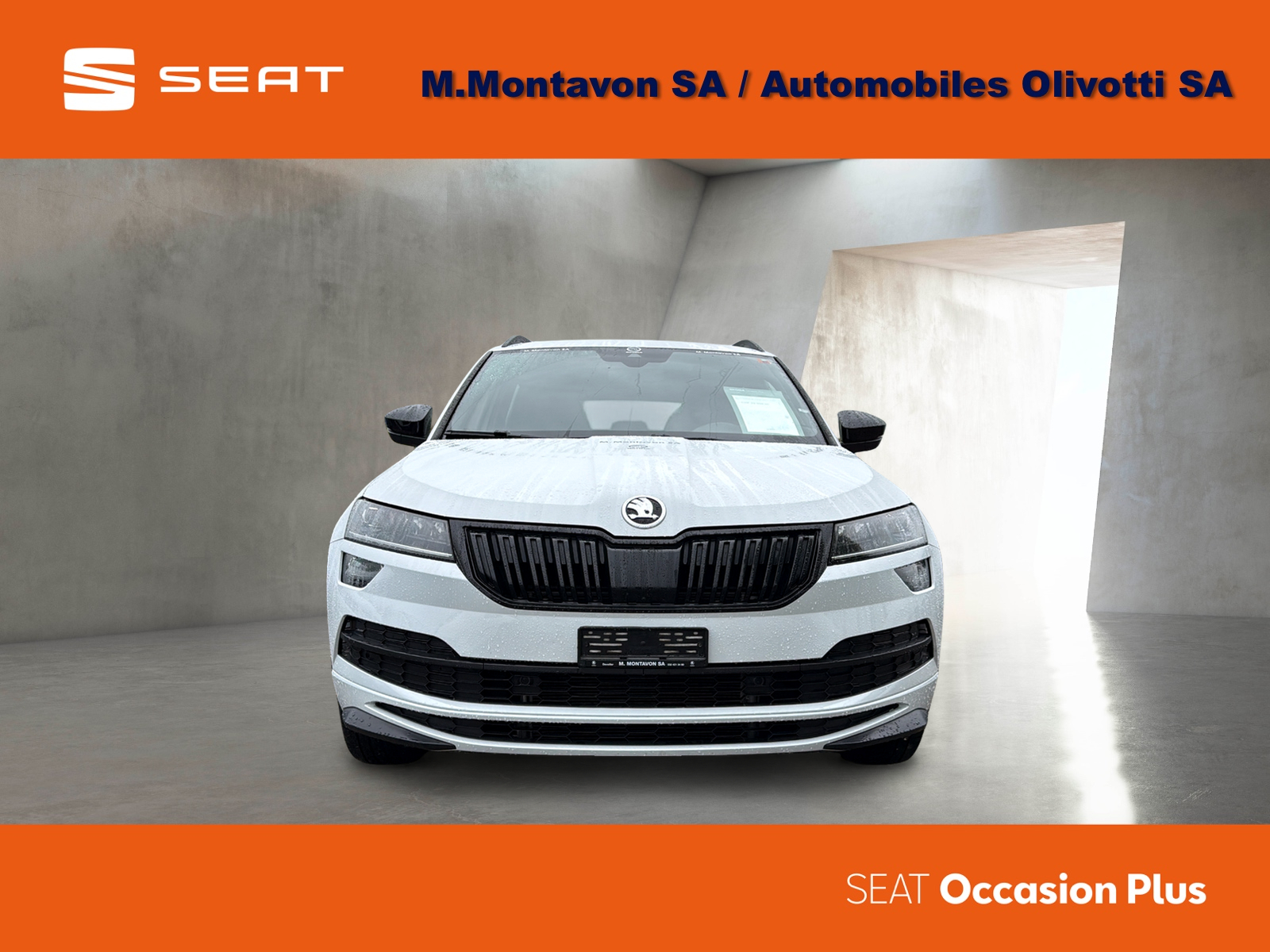 SKODA Karoq 2.0 TSI SportLine 4x4 DSG-image-1
