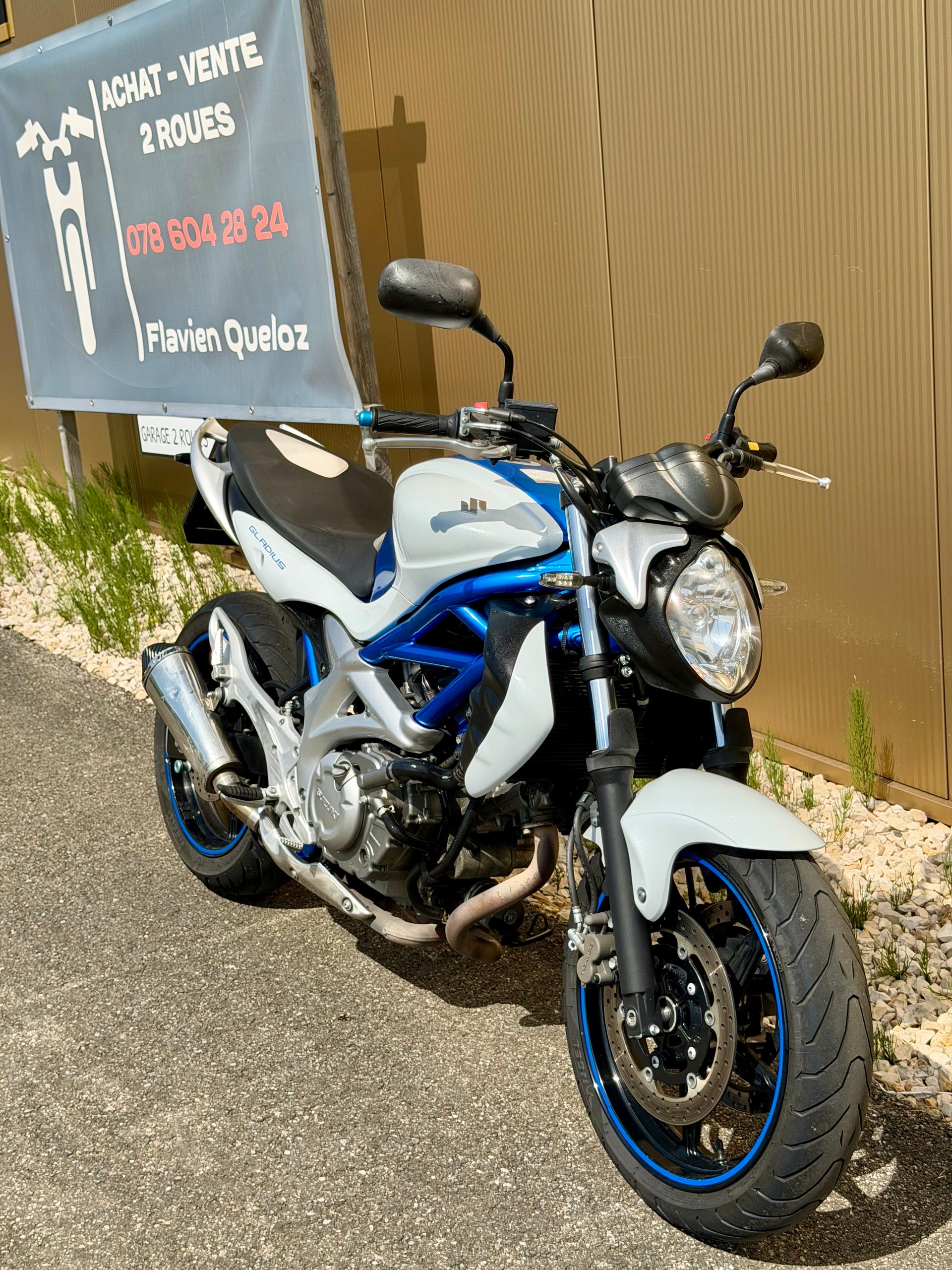 SUZUKI SFV 650 Gladius