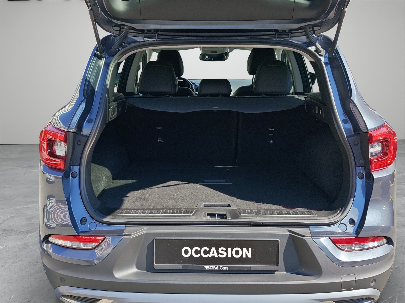 RENAULT Kadjar 1.8 Blue dCi Intens 4WD-image-13