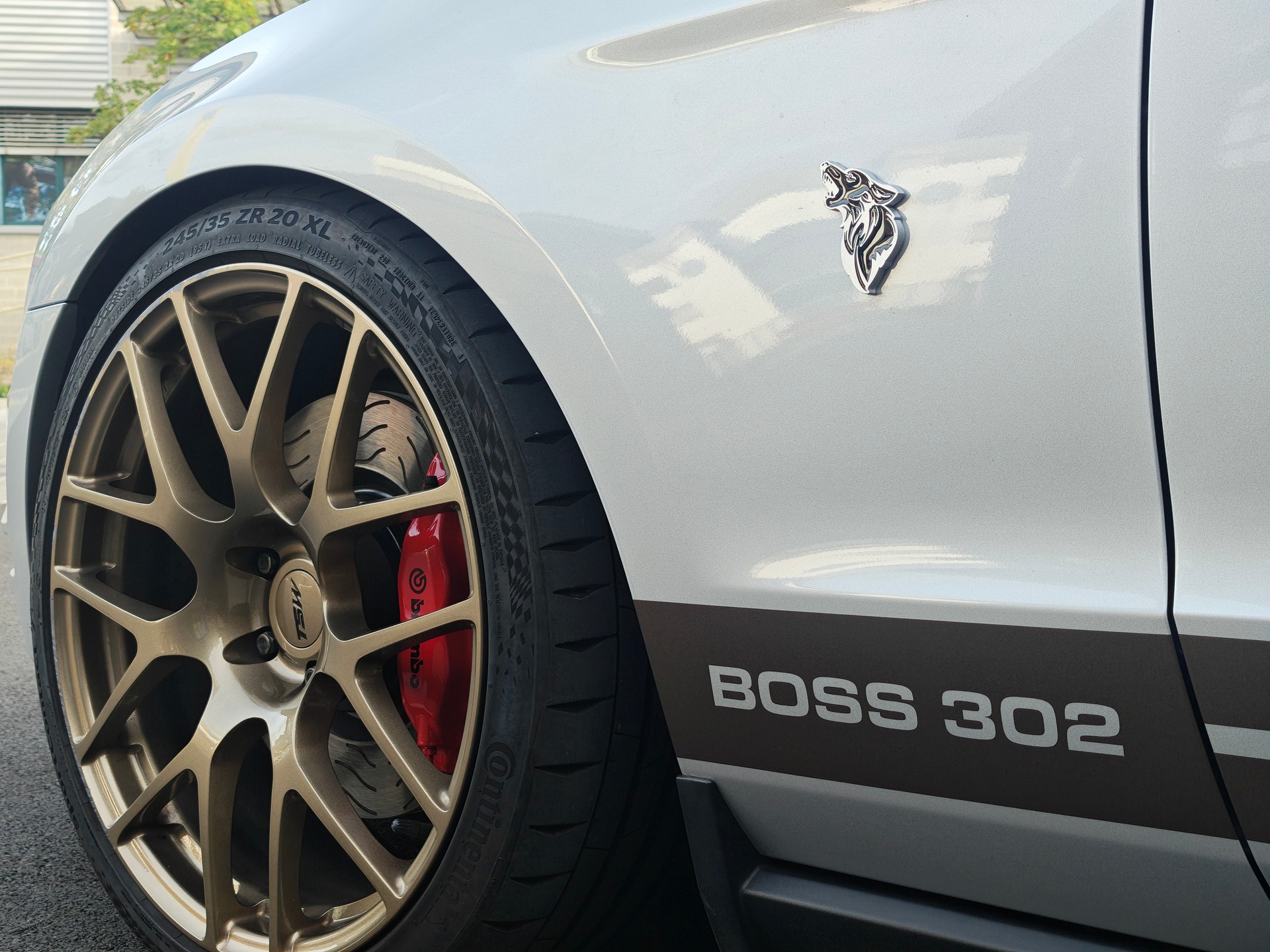 FORD BOSS 302 Umbau-image-8