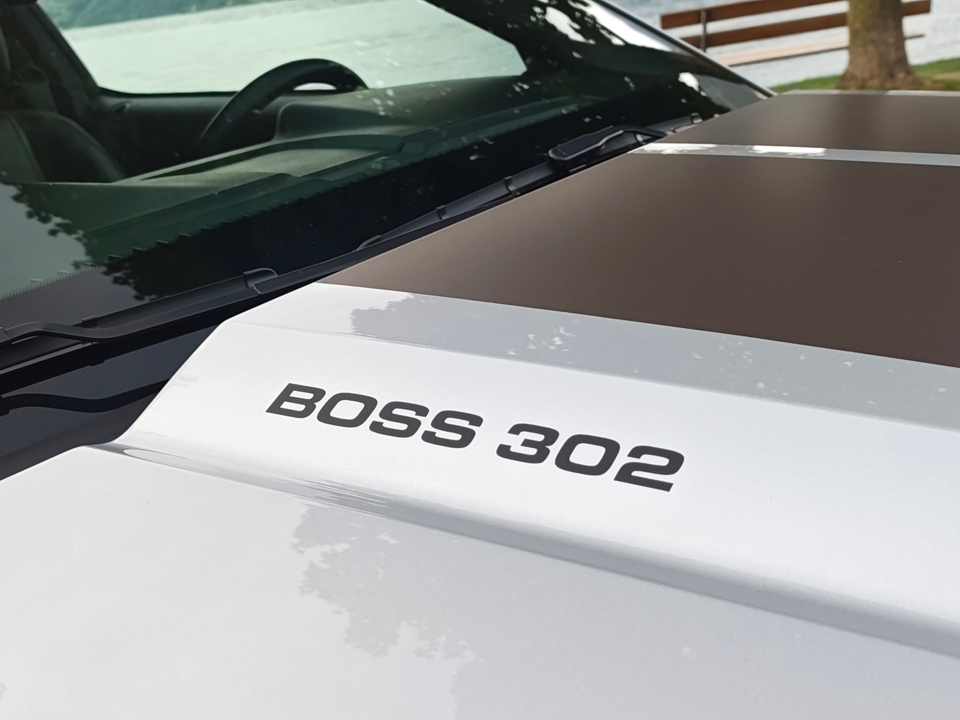 FORD BOSS 302 Umbau-image-6