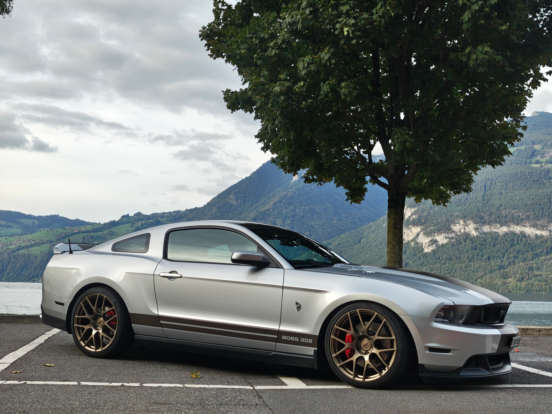 FORD BOSS 302 Umbau-image-4