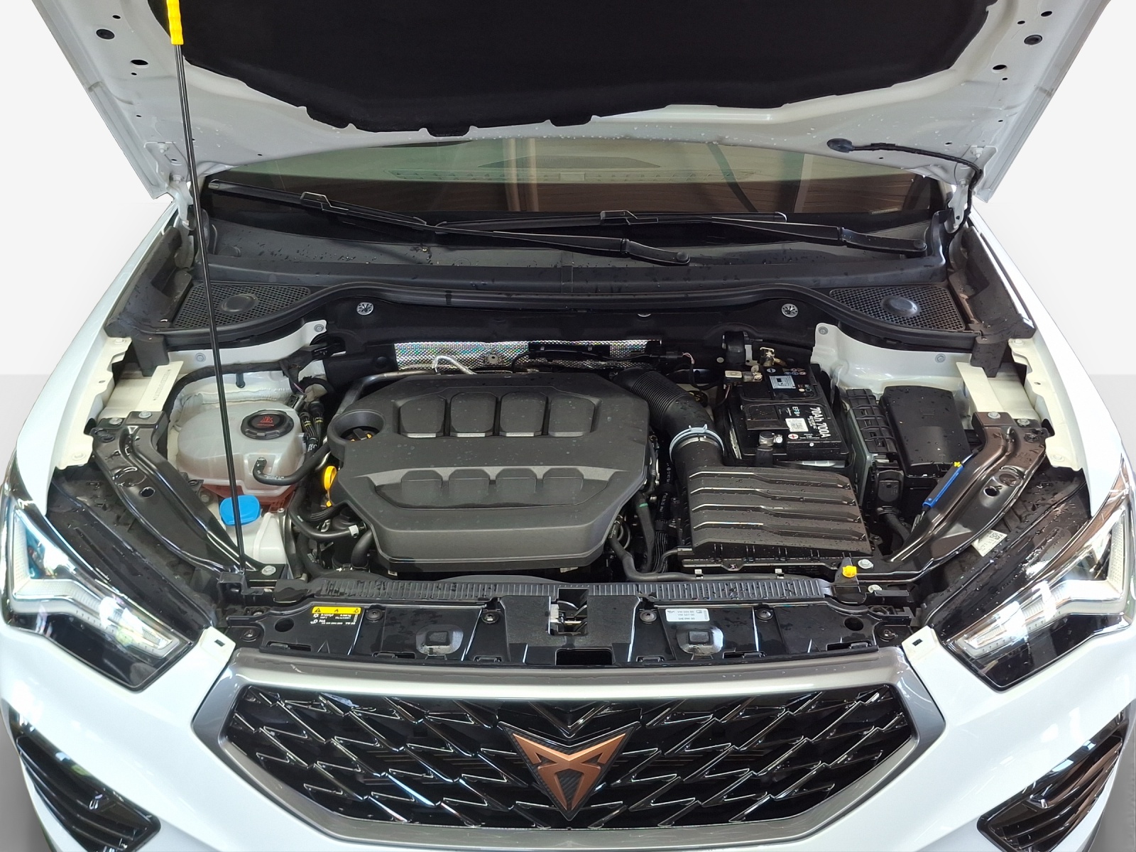 CUPRA Ateca 2.0TSI 4Drive DSG-image-15