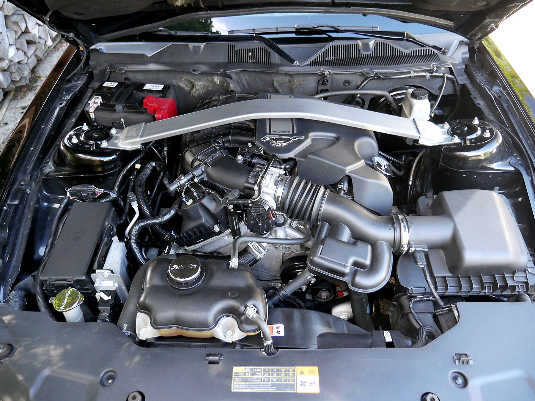 FORD Mustang GT 3.7 V6 6-Speed-image-14