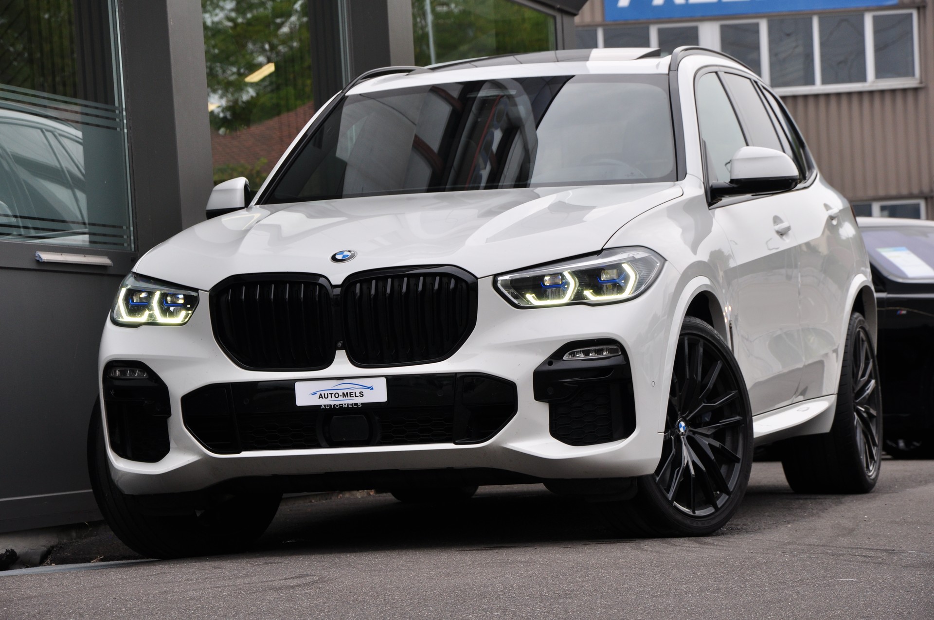 BMW X5 xDrive 30d Steptronic M Sport
