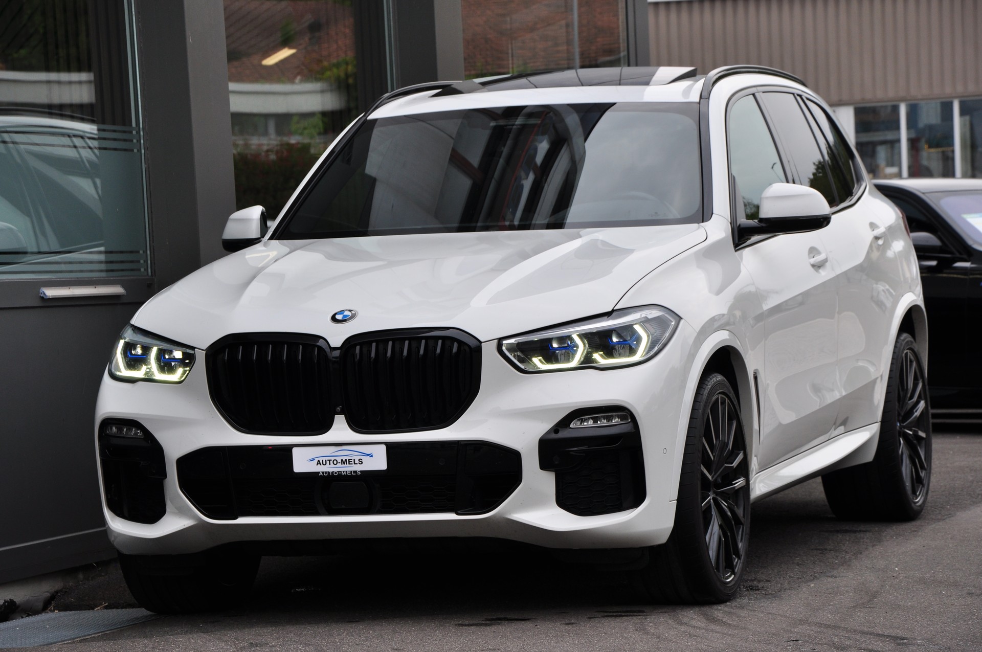 BMW X5 xDrive 30d Steptronic M Sport-showroom-element-1