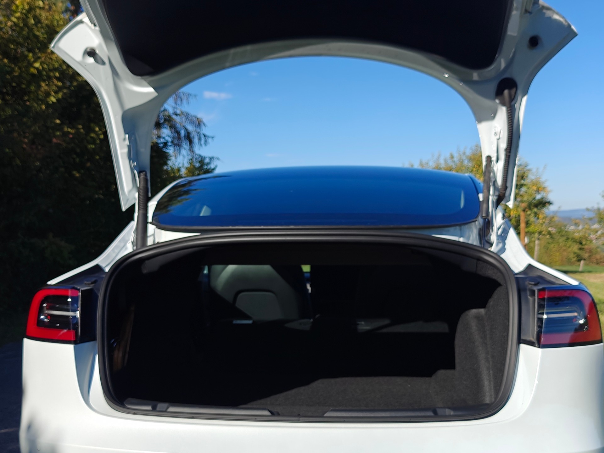 TESLA Model 3 Performance-image-5
