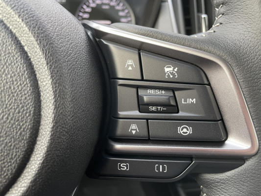 SUBARU Crosstrek 2.0 e Swiss Plu-image-9