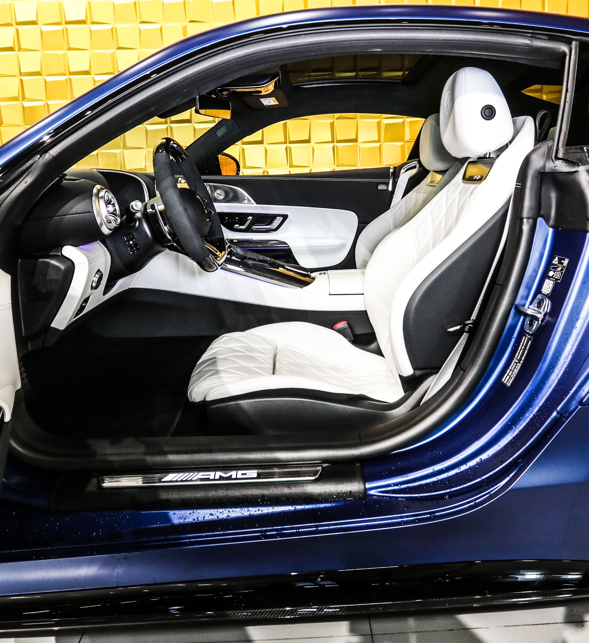 MERCEDES-BENZ AMG GT 63 4Matic+ Executive Edition-image-12