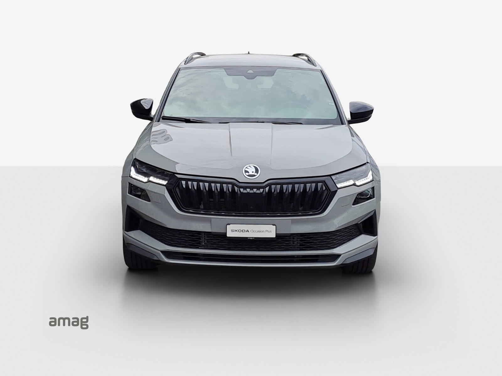 SKODA Karoq 1.5 TSI SportLine DSG-image-6