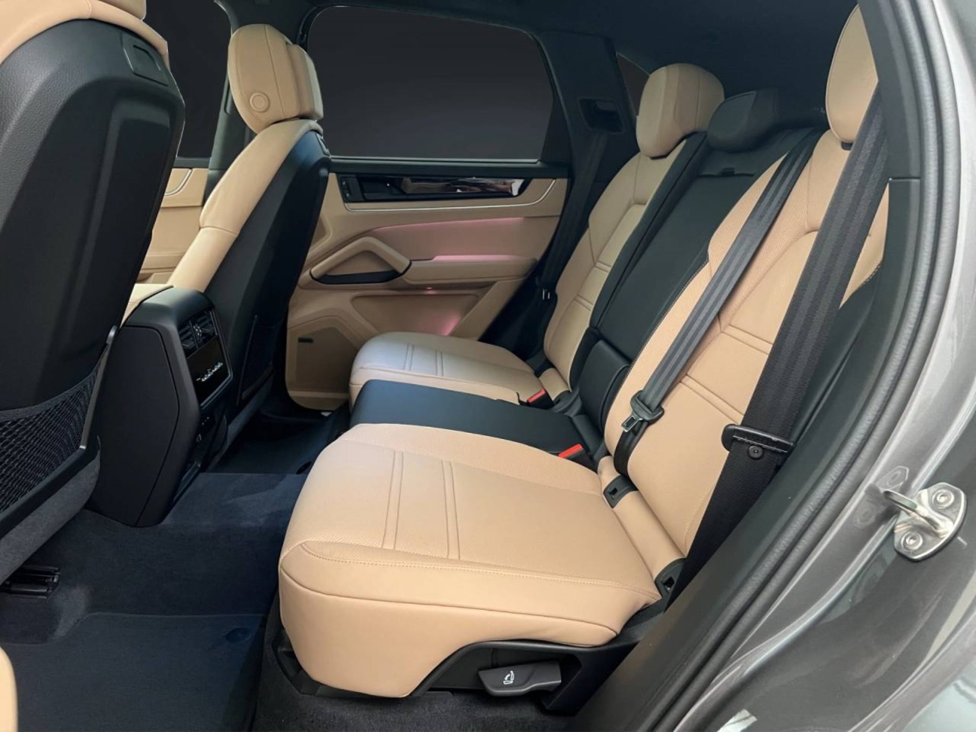 PORSCHE Cayenne E-Hybrid-image-8