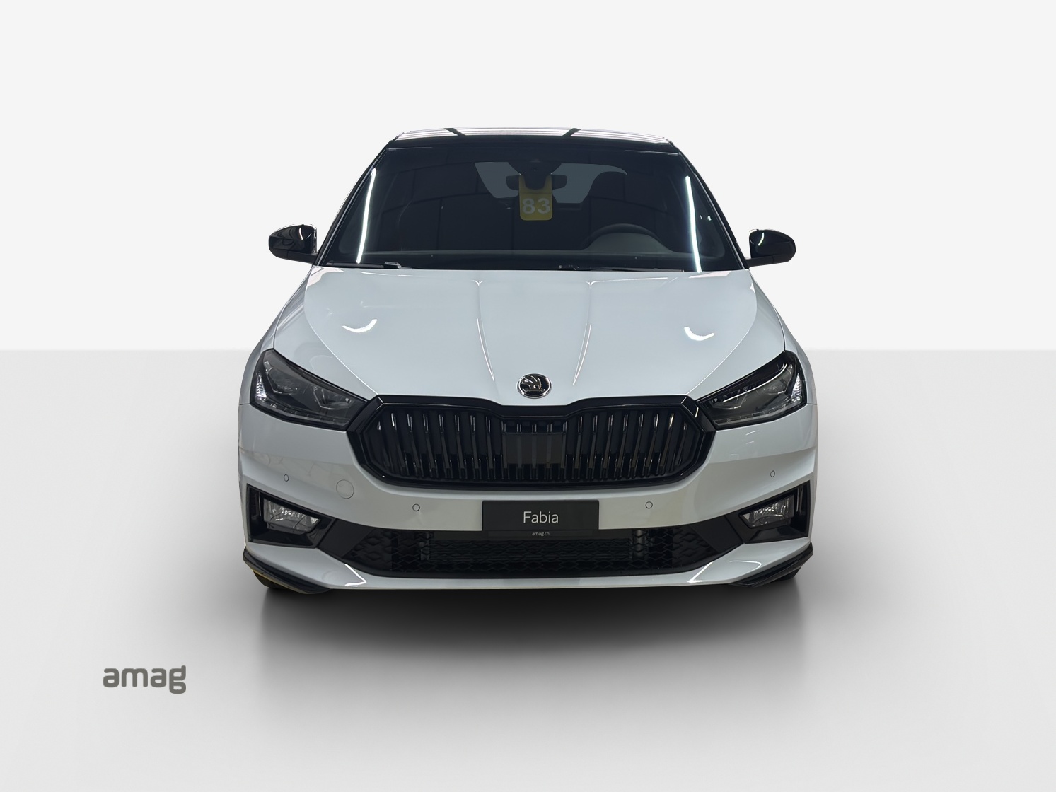 SKODA Fabia 1.0 TSI Monte Carlo DSG-image-6