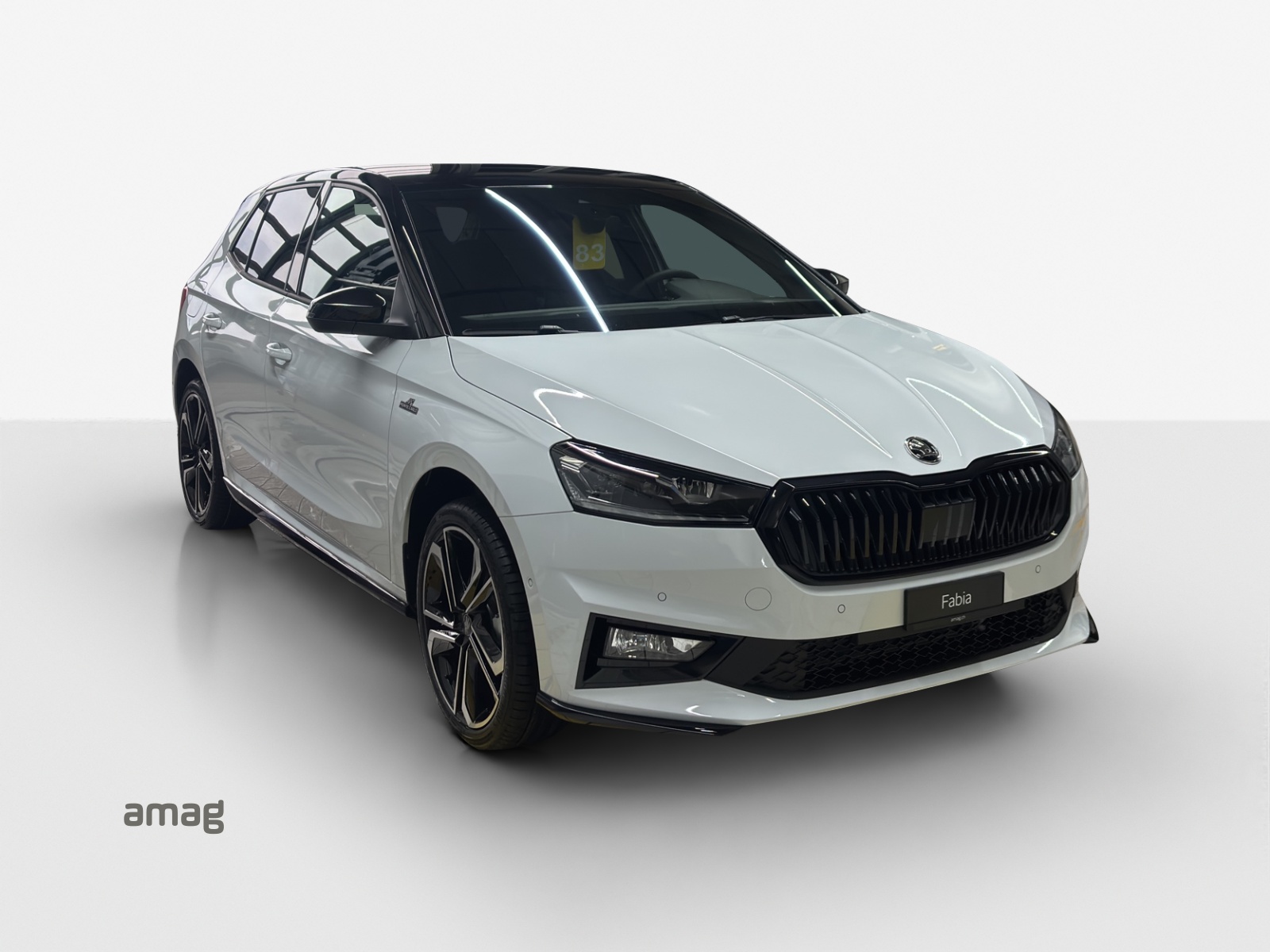 SKODA Fabia 1.0 TSI Monte Carlo DSG-image-5