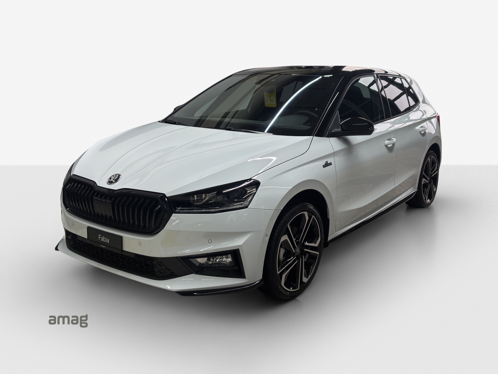 SKODA Fabia 1.0 TSI Monte Carlo DSG