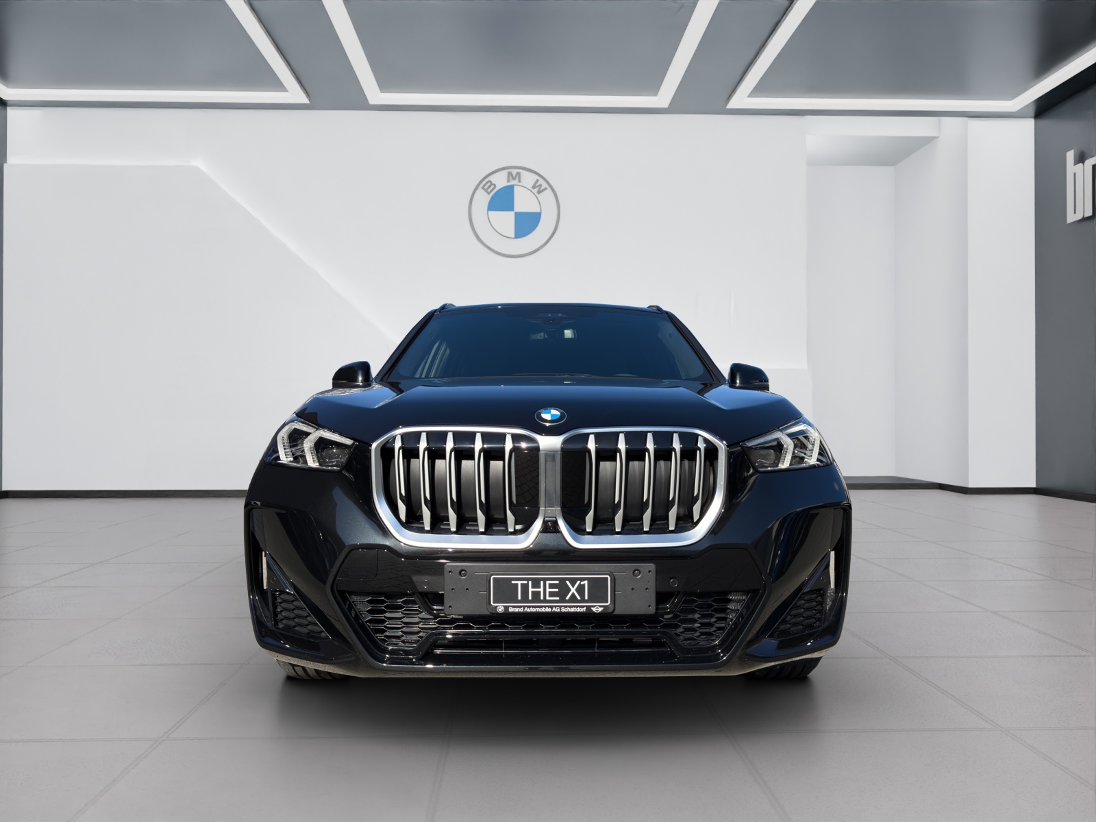 BMW X1 20d xDrive-image-7