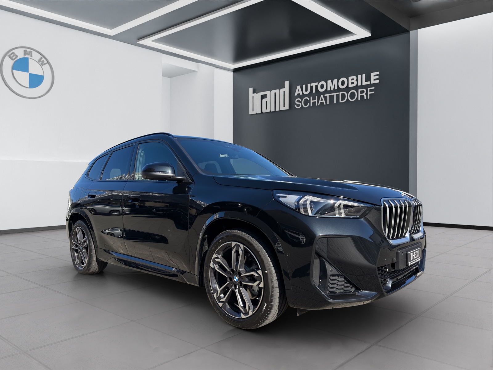BMW X1 20d xDrive-image-6