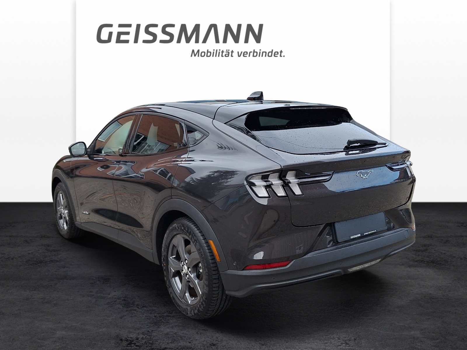 FORD Mustang Mach-E Extended-image-2