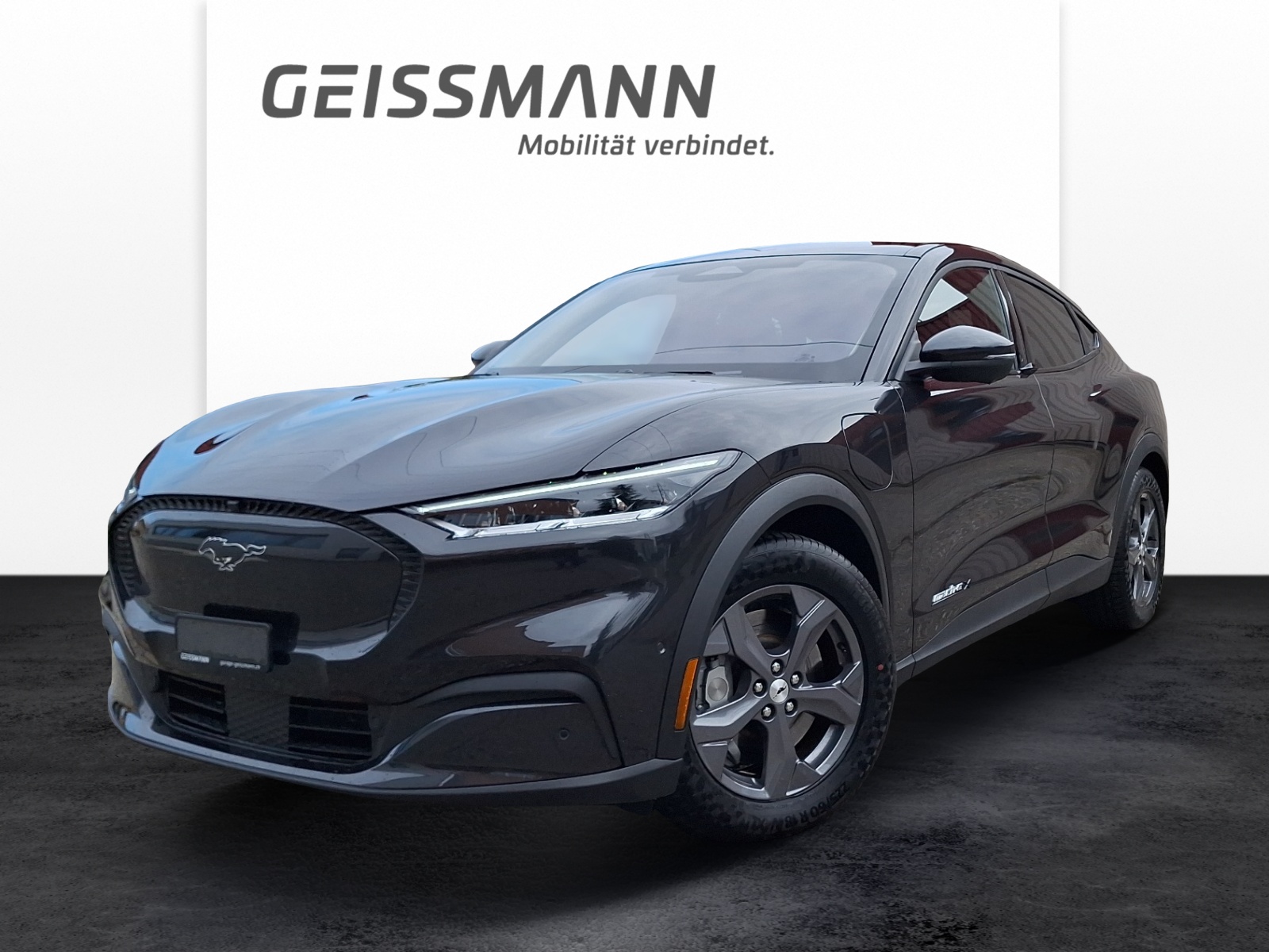 FORD Mustang Mach-E Extended-image-0