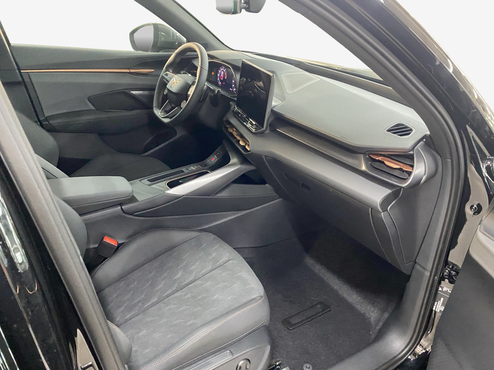 CUPRA Terramar 2.0 TSI DSG 4Drive-image-13