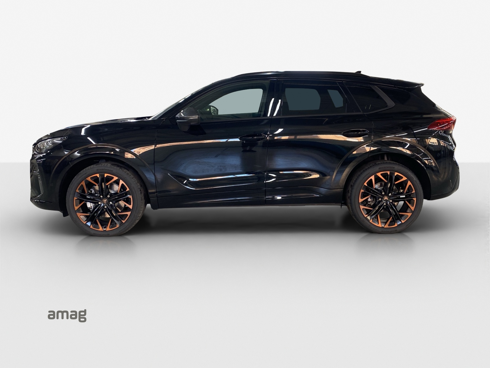 CUPRA Terramar 2.0 TSI DSG 4Drive-image-1