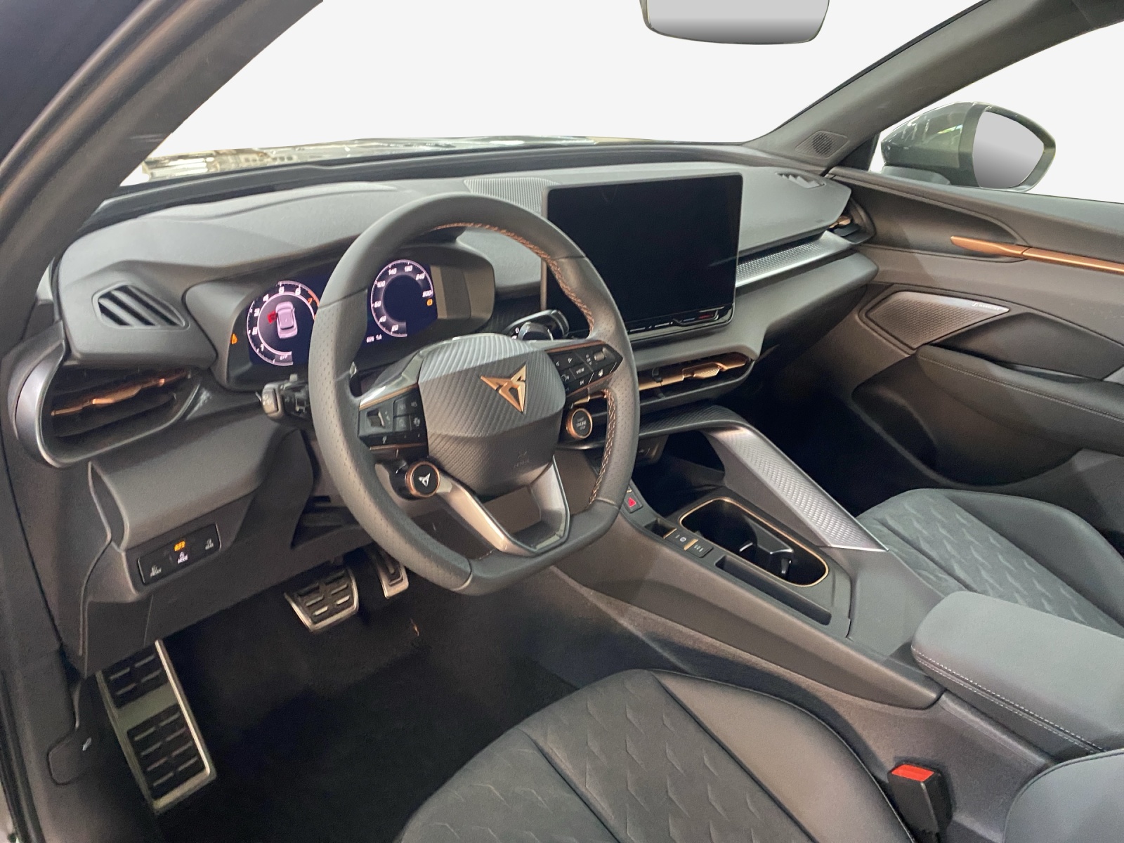 CUPRA Terramar 2.0 TSI DSG 4Drive-image-14