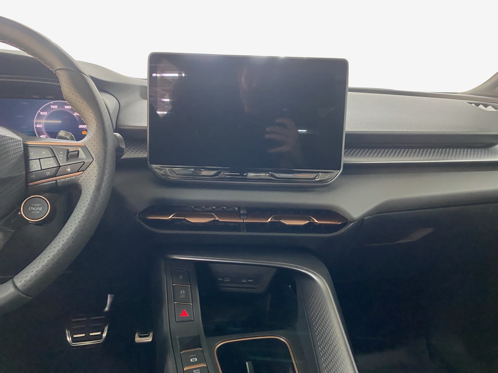 CUPRA Terramar 2.0 TSI DSG 4Drive-image-10