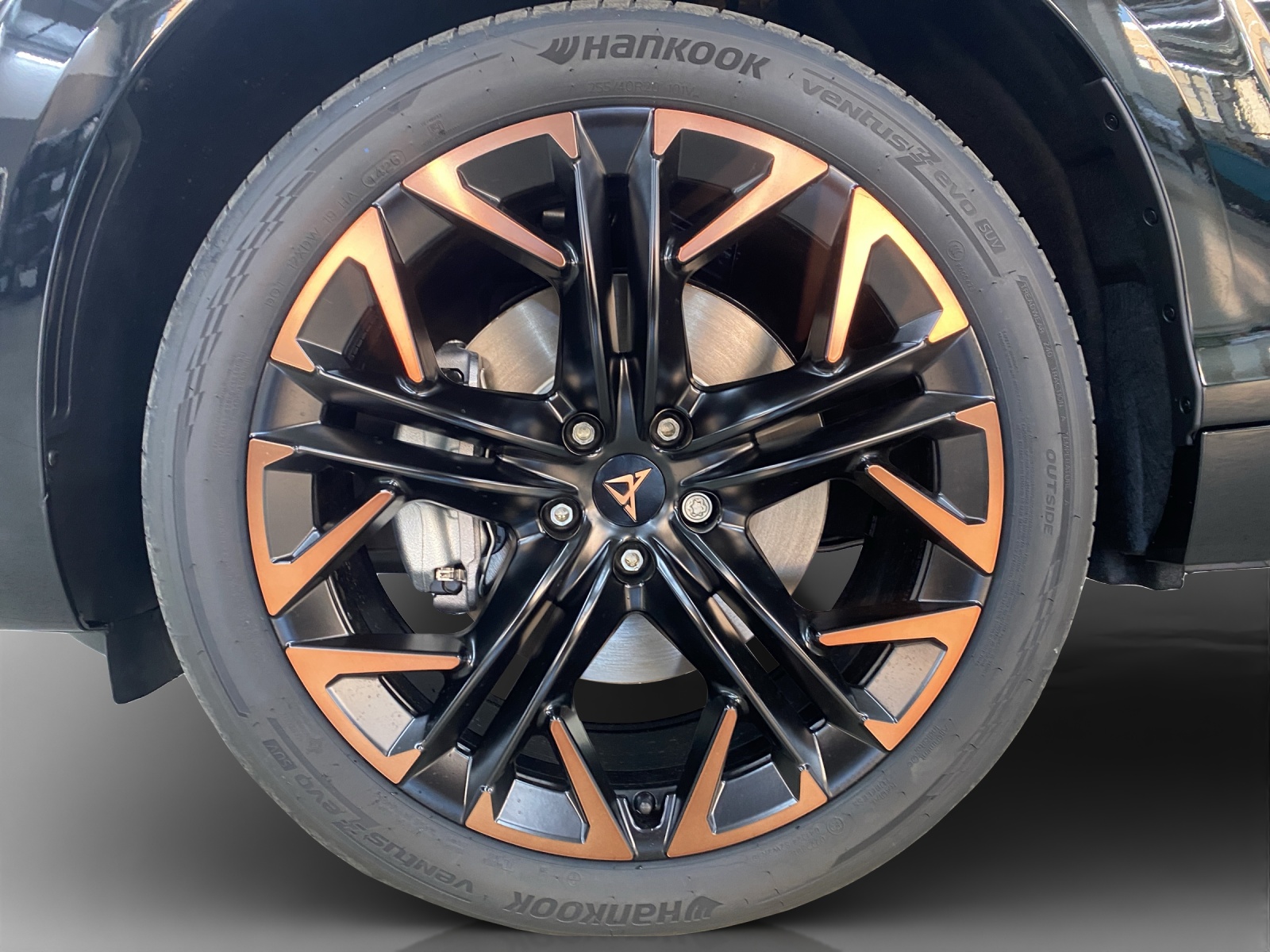 CUPRA Terramar 2.0 TSI DSG 4Drive-image-15