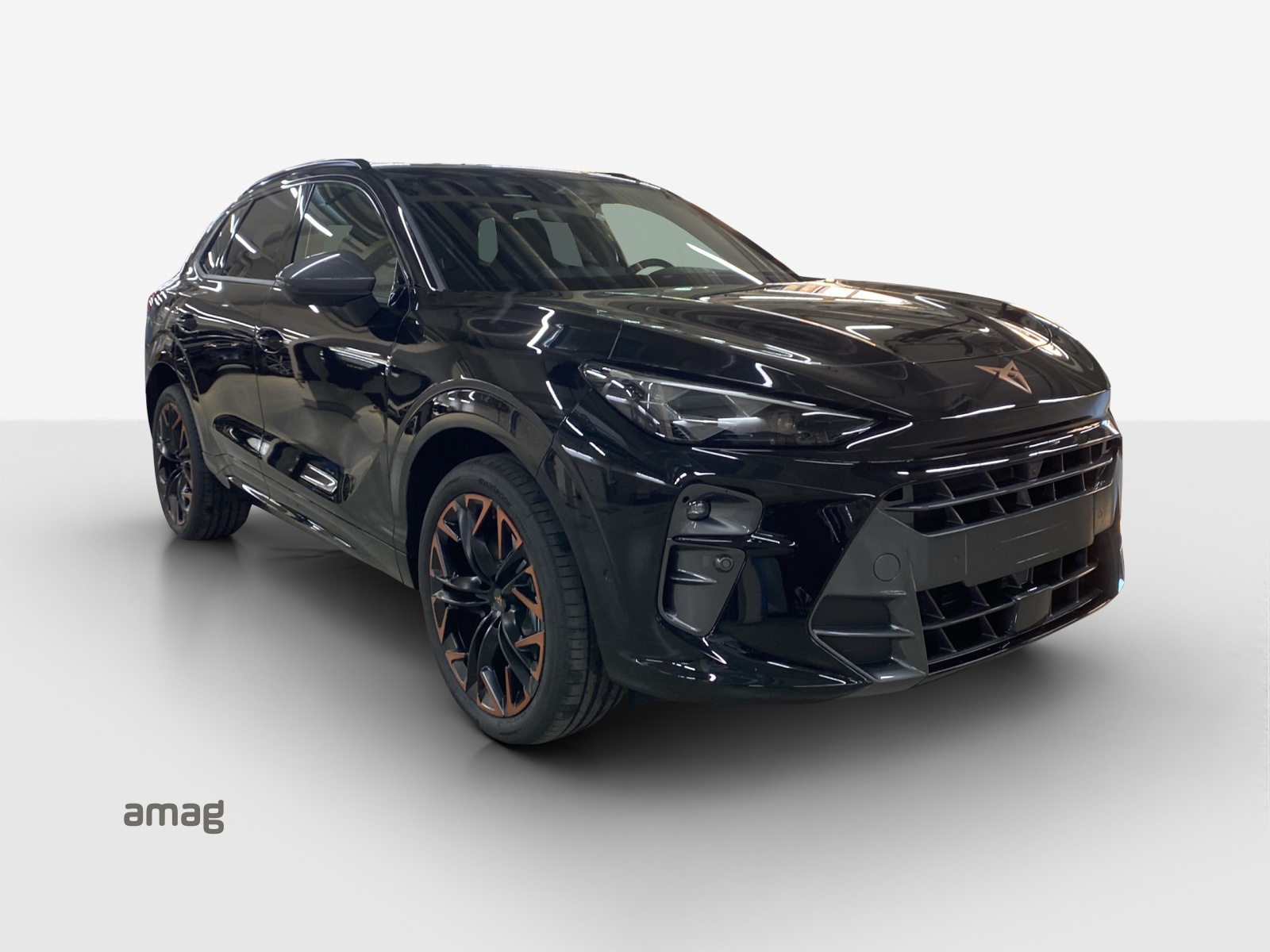 CUPRA Terramar 2.0 TSI DSG 4Drive-image-5