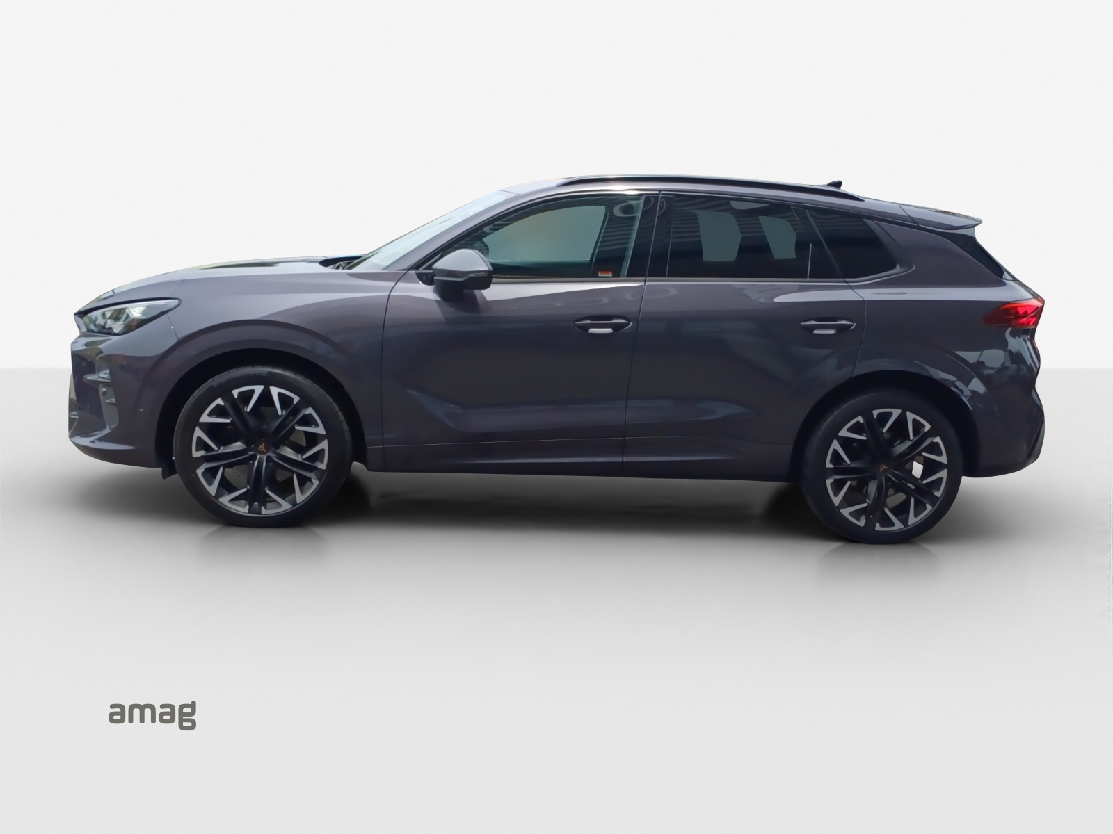 CUPRA Terramar 2.0 TSI DSG 4Drive VZ-image-1