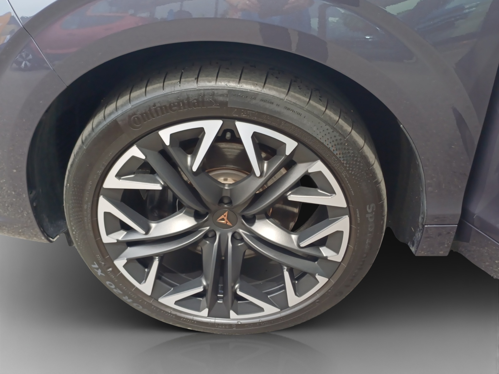 CUPRA Terramar 2.0 TSI DSG 4Drive VZ-image-14