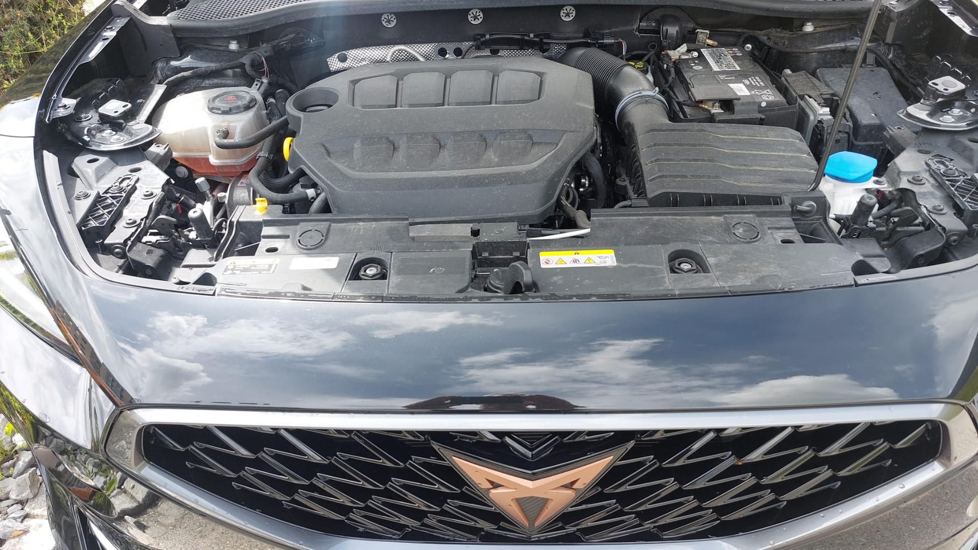 CUPRA Formentor 2.0TSI 310 VZ 4x4 mit AHKupplung 1,8to-image-19