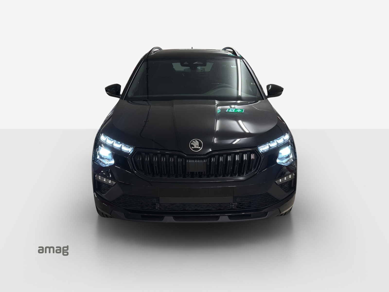 SKODA Kamiq 1.5 TSI Dynamic DSG-image-6