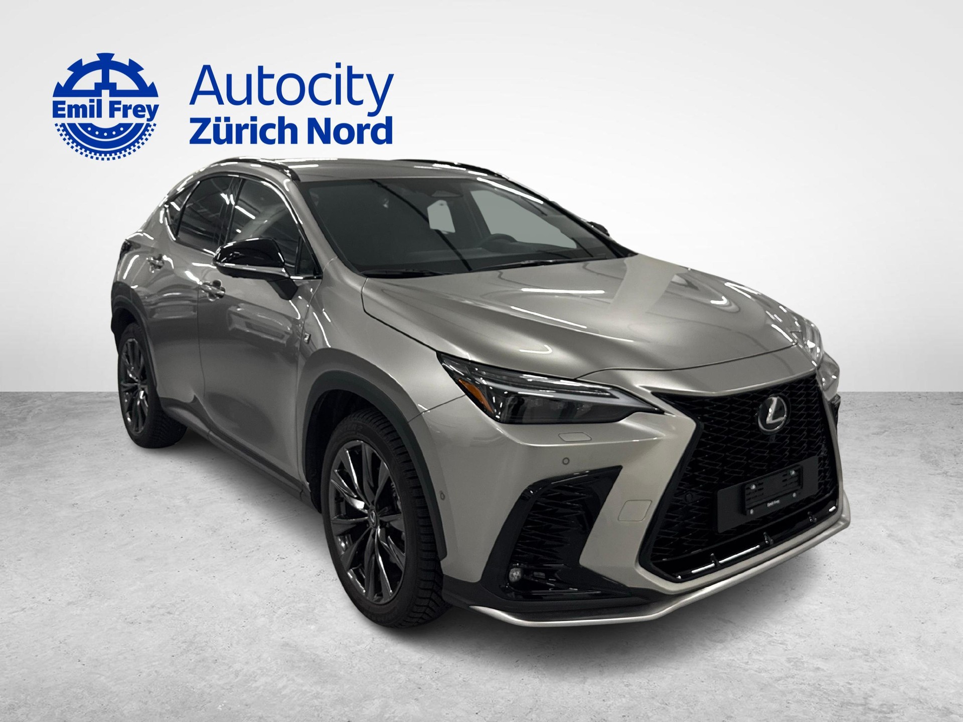 LEXUS NX 350h F-Sport-showroom-element-3