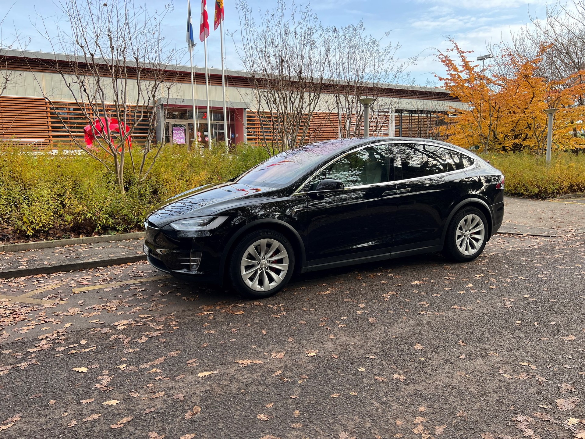 TESLA Model X Performance-image-0
