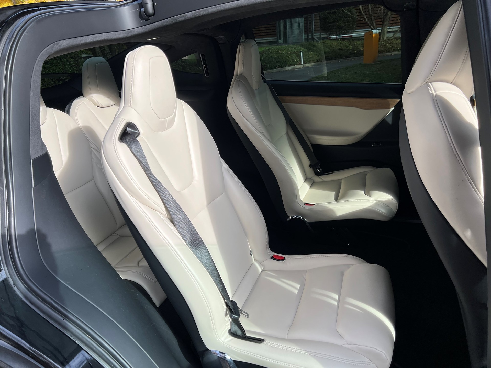 TESLA Model X Performance-image-10
