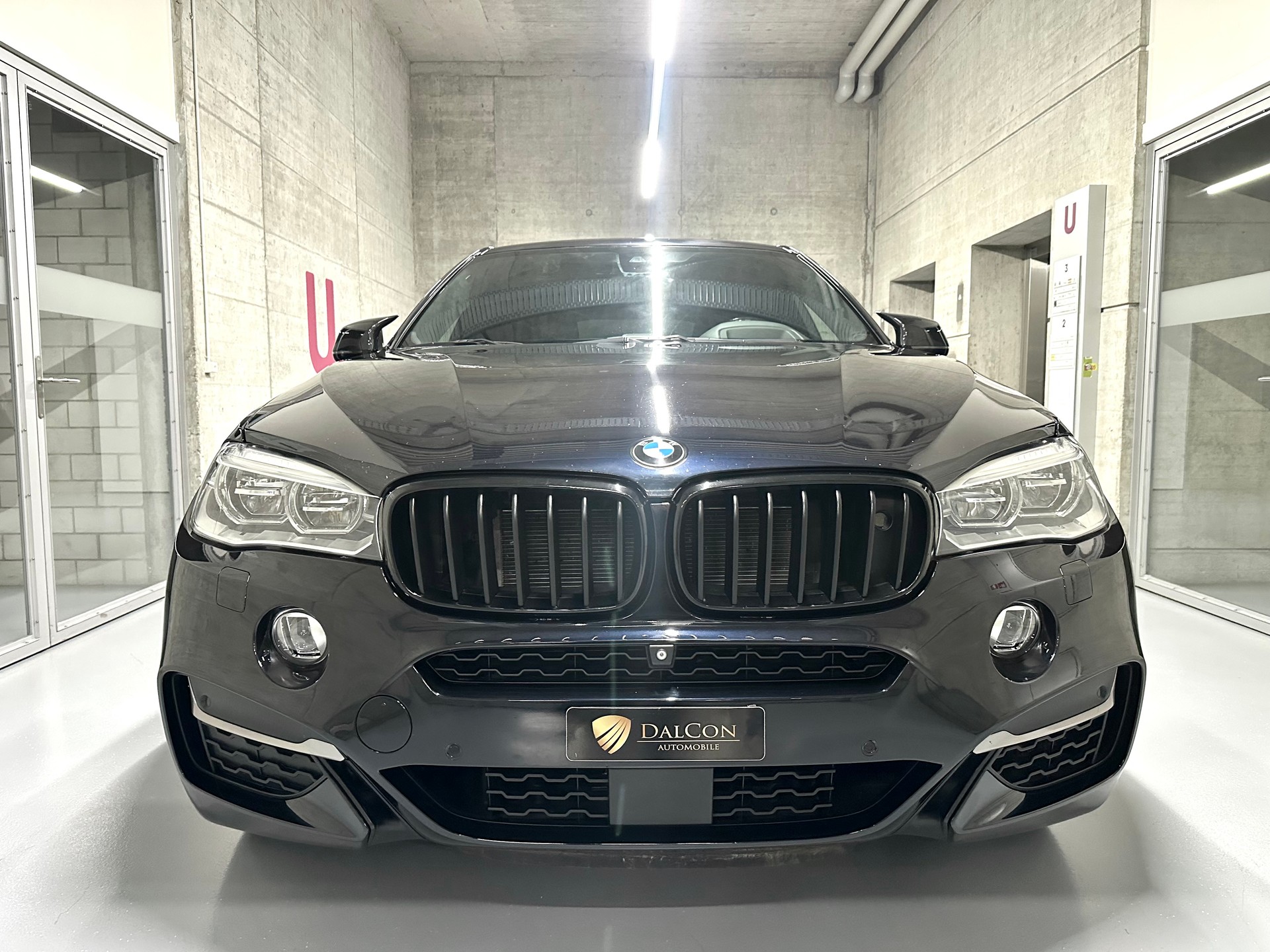 BMW X6 M50d Steptronic-image-2