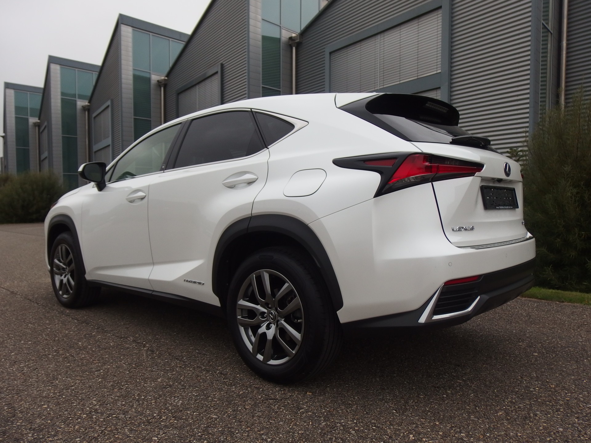 LEXUS NX 300h Diamond E-Four Automatic-image-1