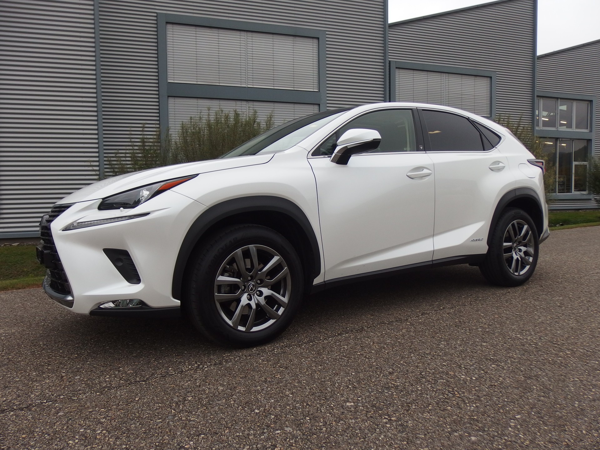 LEXUS NX 300h Diamond E-Four Automatic
