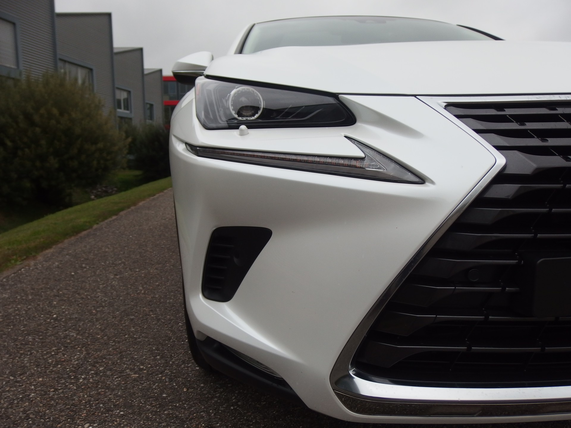LEXUS NX 300h Diamond E-Four Automatic-image-12