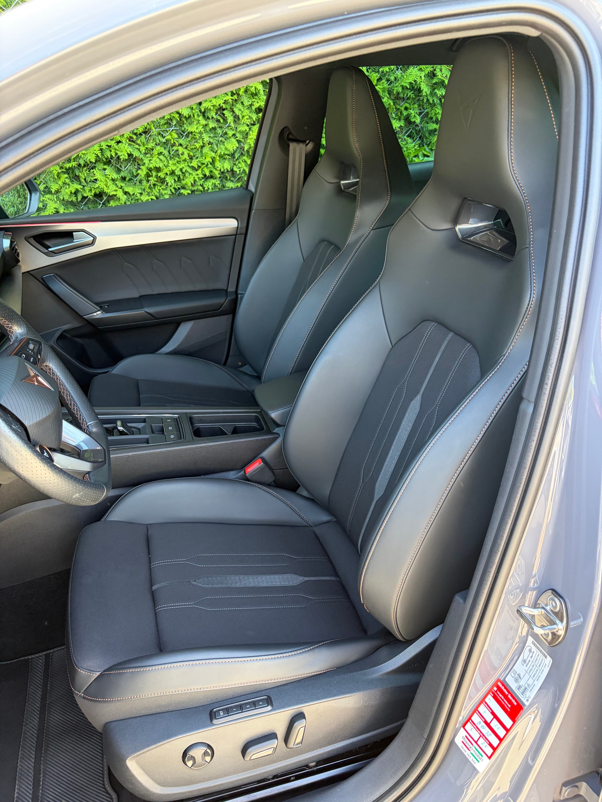 CUPRA LEON VZ 2.0 TSI DSG-image-10