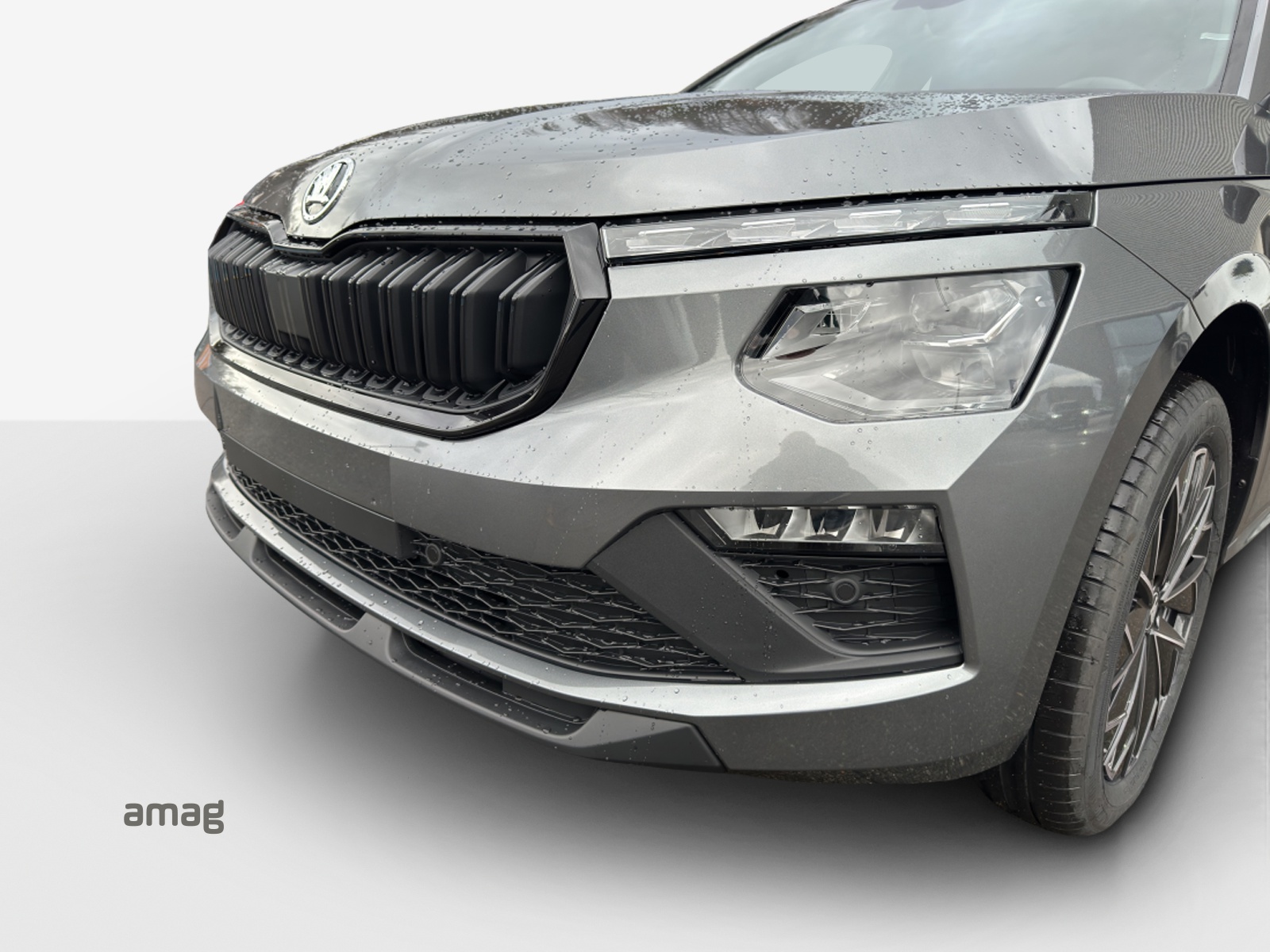 SKODA Kamiq 1.5 TSI Dynamic DSG-image-15