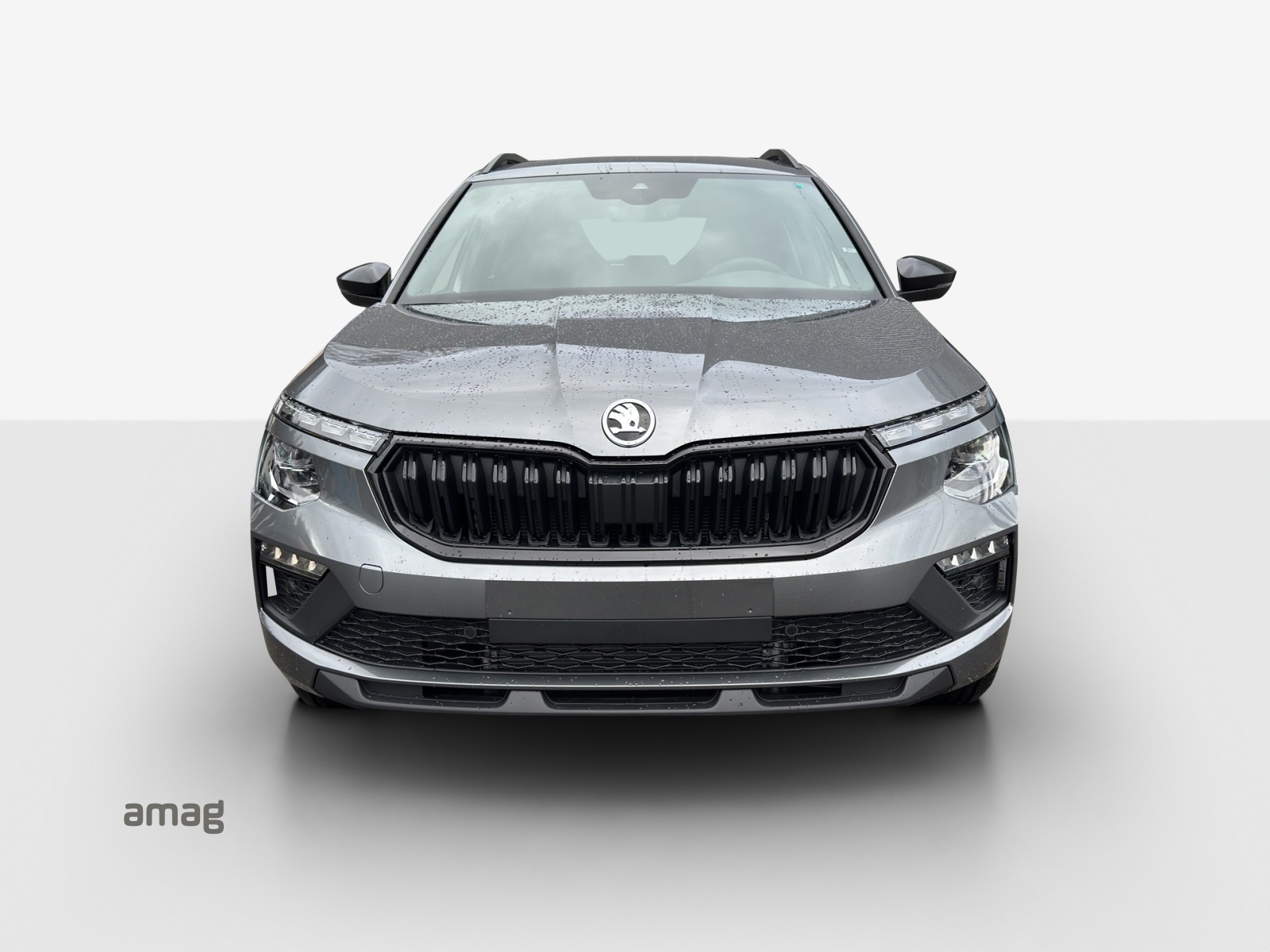 SKODA Kamiq 1.5 TSI Dynamic DSG-image-6