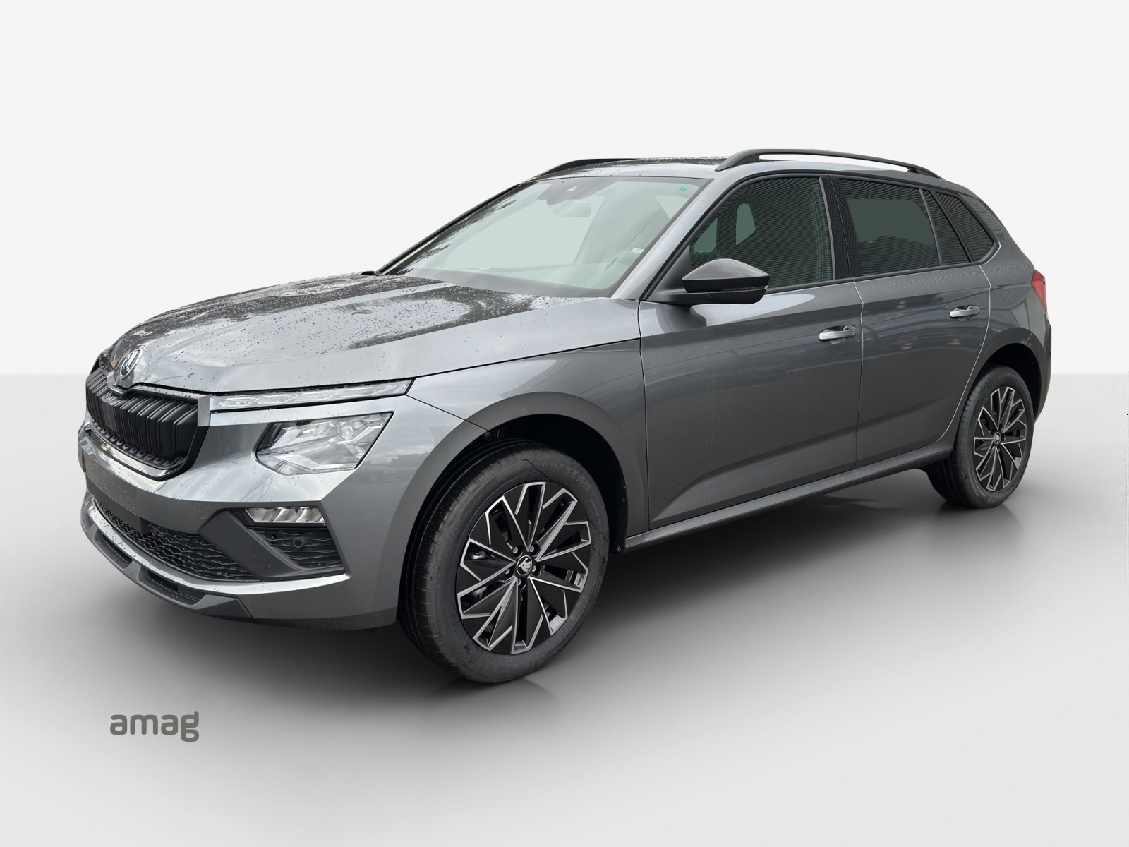 SKODA Kamiq 1.5 TSI Dynamic DSG-image-0
