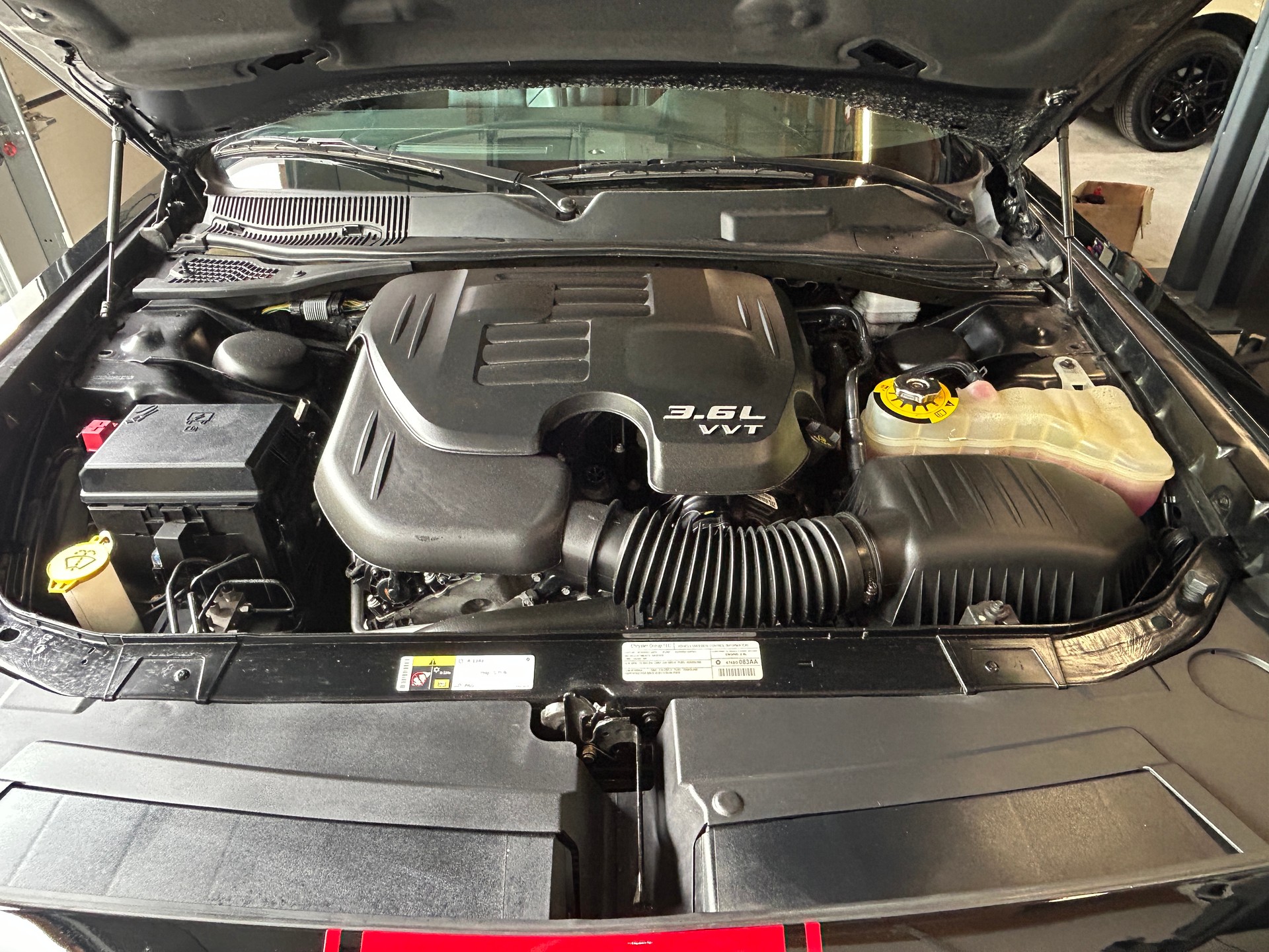 DODGE 3.6 V6 Rallye Redline-image-8